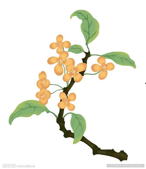 日本桂花漫画,穿越时空的奇幻之旅