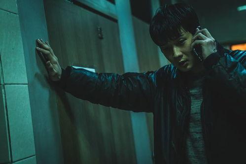 日本血犯罪片,揭秘日本血犯罪背后的黑暗真相