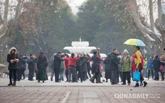 郑州一中爆料事件最新,揭秘校园内幕引发社会关注