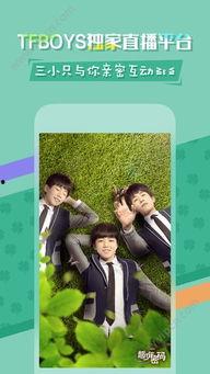 美拍高清视频,捕捉生活瞬间，尽享视觉冲击