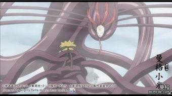 火影忍者零尾最新爆料,揭秘火影忍者终极秘密