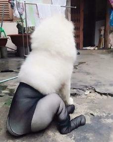 丝袜拉稀,揭秘时尚与健康的微妙平衡