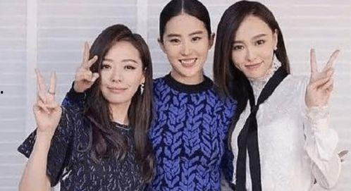 明星合影杨幂,星光熠熠瞬间回顾