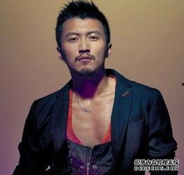 中国有几代武打明星,传承与创新的五代传奇