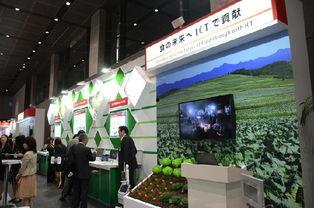 河南涉农明星企业,引领乡村振兴的领军力量