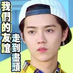 娱乐吃瓜主播真假对比,真假信息大对比