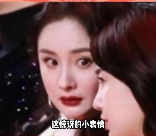 吃瓜系统娱乐圈完结